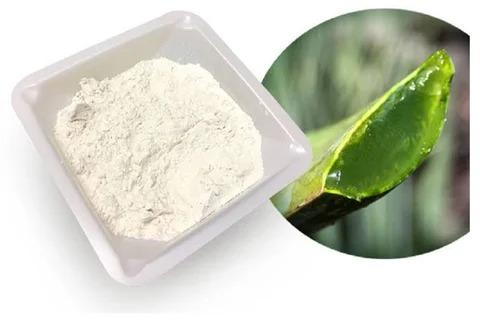 Spray Dried Aloe Vera Powder