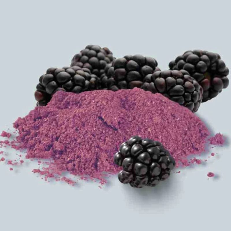 Spray Dried Blackberry Powder