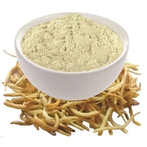 Spray Dried Safed Musli Powder