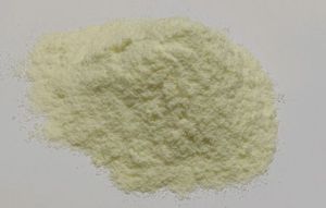 Spray Dried Banana Powder